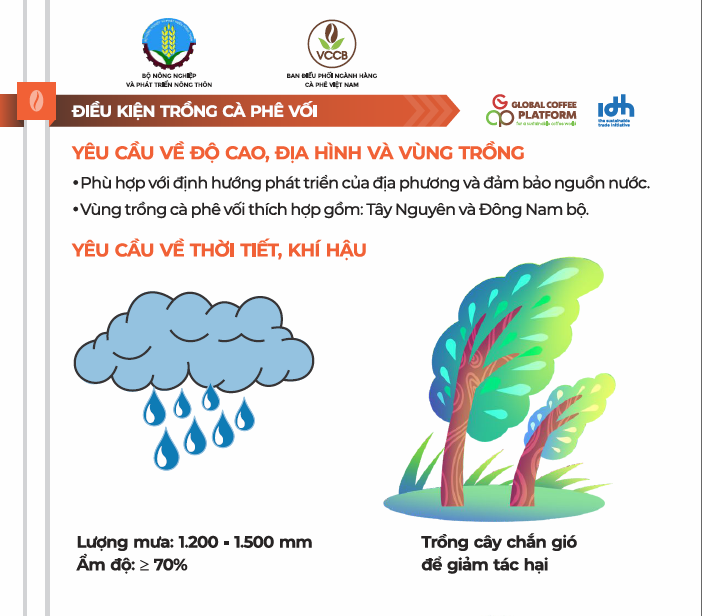 QUYẾT ĐỊNH Về việc Ban hành quy trình kỹ thuật